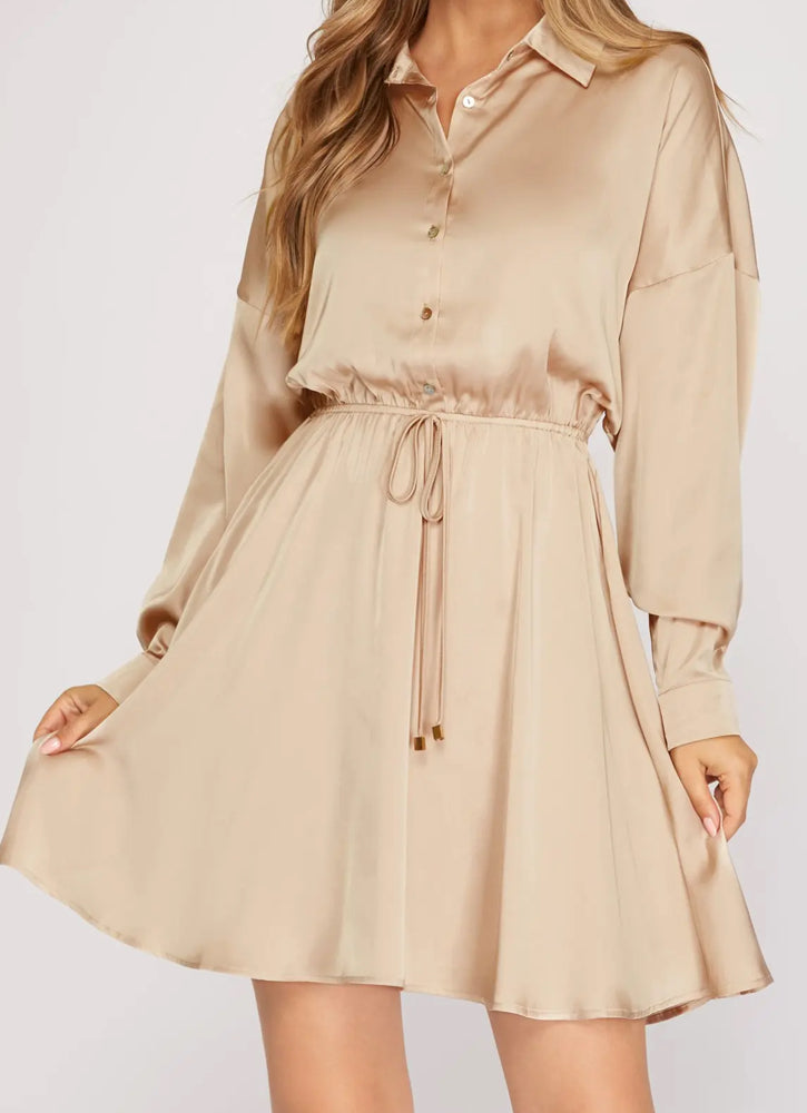 Silk Serenade Dress