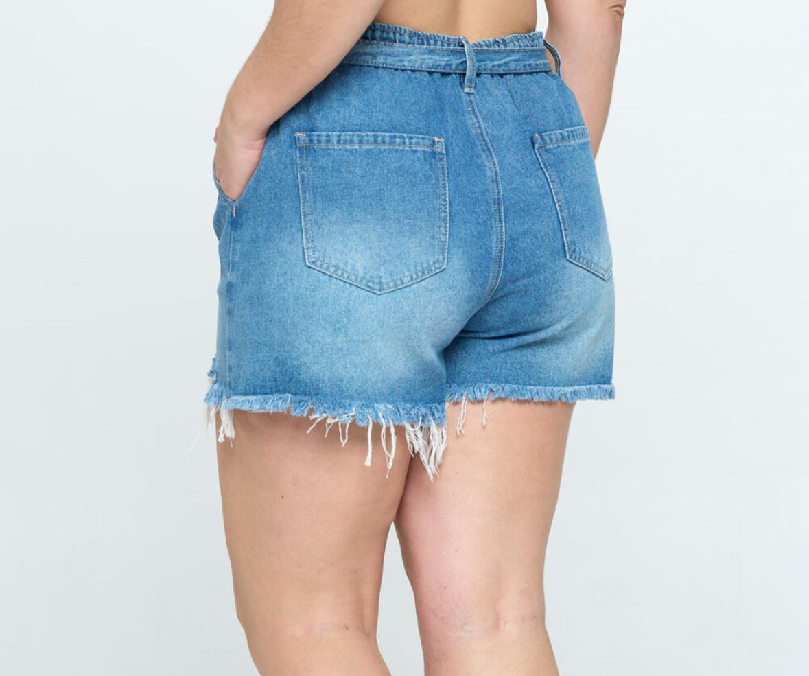 Pleaty Please Denim Shorts